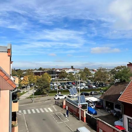 Superbe Duplex Proche Centre Ville Parking Gratuit Colmar Eksteriør bilde